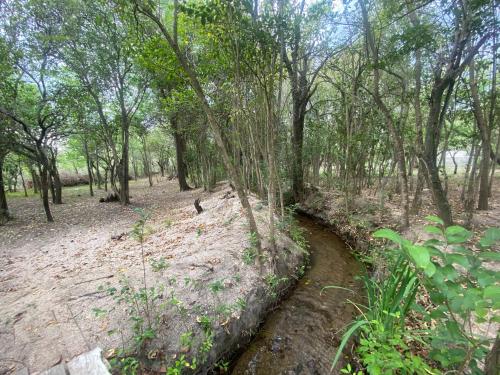La Huaiqueña – Photos 4