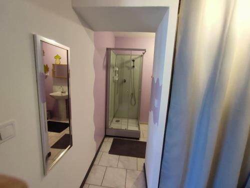 ein kleines Bad mit einer Dusche und einem Spiegel in der Unterkunft Maison individuelle 60 m² in Le Cateau