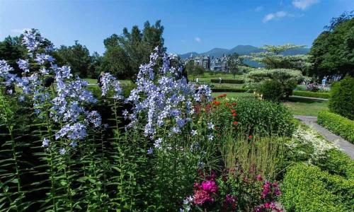 a garden with purple flowers in a park at The Cats Bield in Keswick
