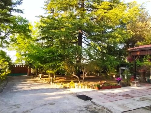 Gallery image of La Casa di Anna nel Parco della Majella Abruzzo Rapino CH in Rapino