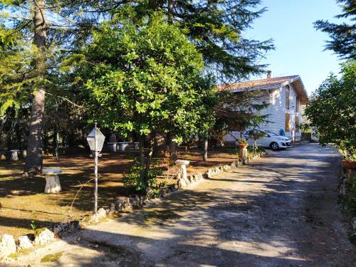 Gallery image of La Casa di Anna nel Parco della Majella Abruzzo Rapino CH in Rapino