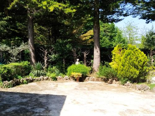 Gallery image of La Casa di Anna nel Parco della Majella Abruzzo Rapino CH in Rapino
