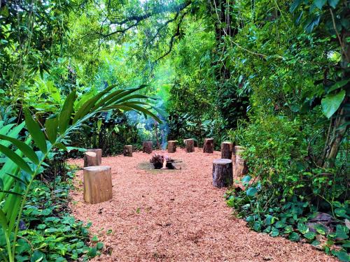 a garden with a row of logs and trees at Maya Mountain Lodge in San Ignacio