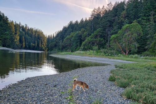 a dog standing on the rocks near a river at Port Townsend Kala Point in Port Townsend