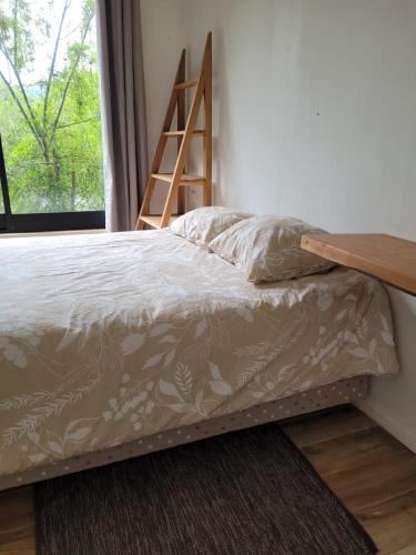 a bed in a room with a ladder next to a window at Cabañas Llifenativo in Futrono