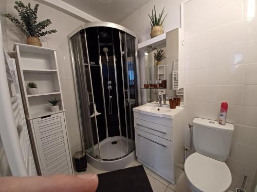 uma casa de banho com um chuveiro, um WC e um lavatório. em REL'AX - T2 - Plein coeur Ax - Literie de qualité - Wifi - 200m télécabine em Ax-les-Thermes