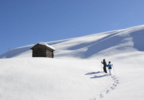 冬のFerienhaus Mörtlの様子
