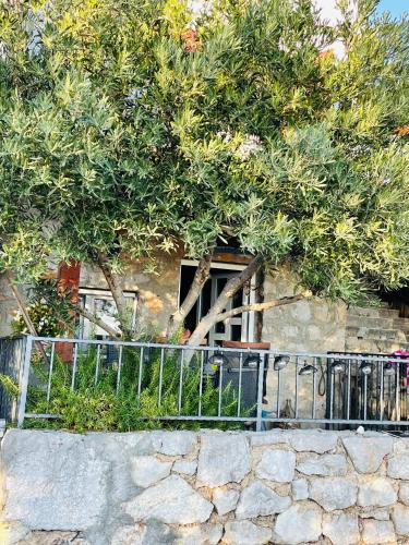 Kuća za odmor “Dida”