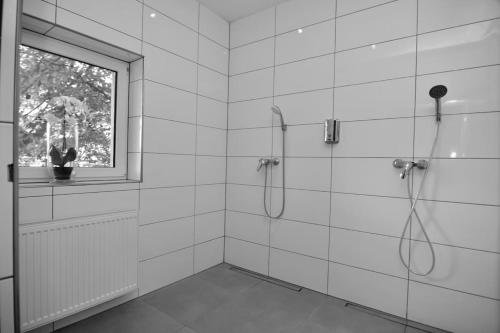 Koupelna v ubytování Fetischhaus SM Apartment/Ferienwohnung Wiesbaden