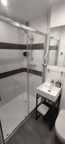 a bathroom with a shower and a sink and a toilet at Apartament Miedzianka III in Polkowice