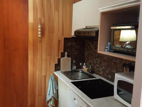 małą kuchnię ze zlewem i kuchenką mikrofalową w obiekcie Appartement charme avec terrasse, vue Mont Blanc, parking, 3/4 pers - FR-1-517-65 w Chamonix-Mont-Blanc