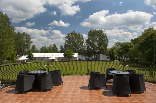 Zahrada ubytování Hotel Wityng
