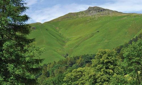 a green hillside with trees and a mountain at Lanterns At Grasmere in Grasmere