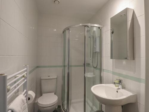 a bathroom with a shower and a toilet and a sink at Hillhead in Ambleside