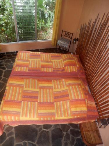 Heliconia Island – Photos 5