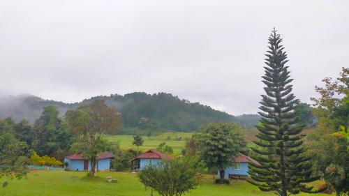 a group of houses in a field with a tree at Mong Homestay Resort in Pang Ung