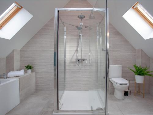 uma casa de banho com chuveiro e WC em Crosshill Cottage em Honiton