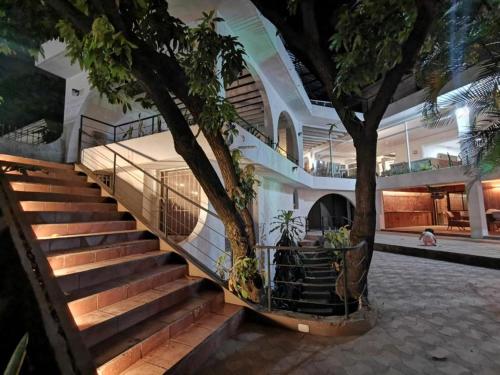 a staircase in a building with a tree at Casa Lomas in Tegucigalpa