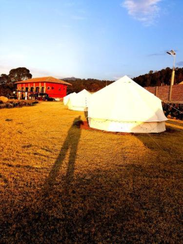 FINCA DRAGON – Photos 2