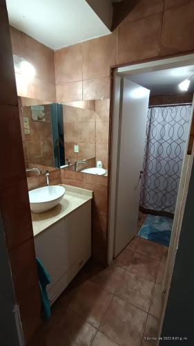 a bathroom with a sink and a mirror at MENDOZA VIÑA Y SOL cochera propia in Guaymallen