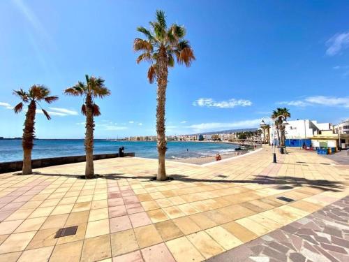 a boardwalk with palm trees on a beach at Sun Beach Arinaga in Arinaga