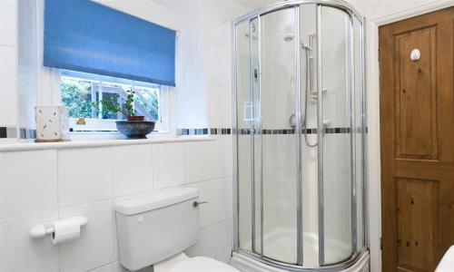 a bathroom with a toilet and a glass shower at White Lion Cottage in Chapel Stile