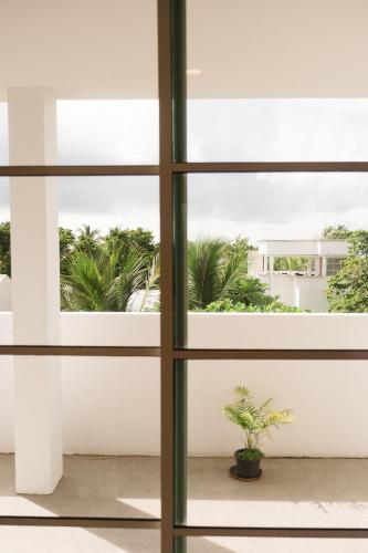 a window in a room with a potted plant at Sunrise by white sand dhigurah in Dhigurah