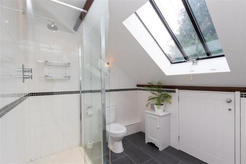 a bathroom with a shower and a toilet and a window at The Gallery in Grasmere