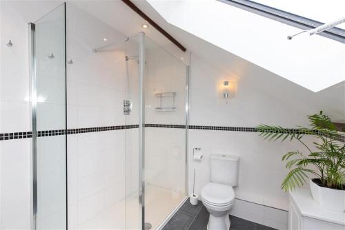 a bathroom with a toilet and a glass shower at The Gallery in Grasmere