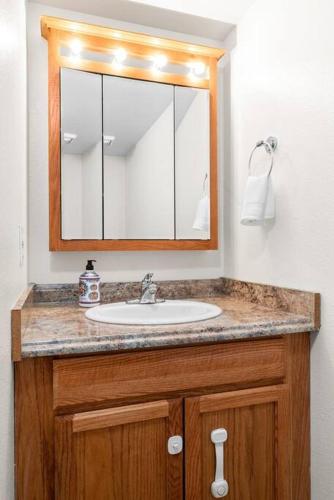 a bathroom with a sink and a mirror at Moose Meadows- Near the airport, centrally located in Anchorage
