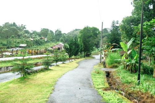 a dirt road in a field with trees at Tunjung Sari Villa Bedugul in Bedugul