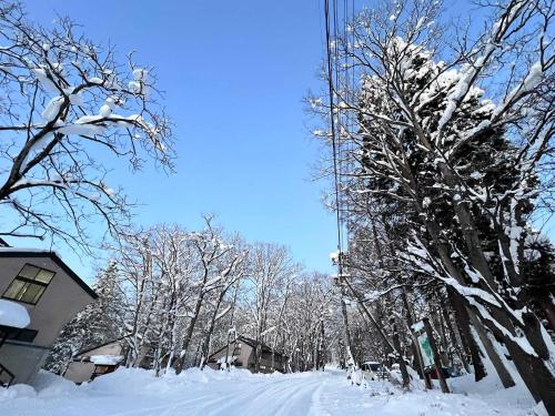 a snow covered street with trees and a building at Labo Land Kurohime in Shinano