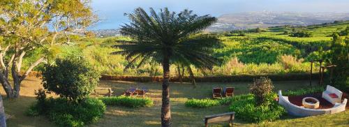 a palm tree and a boat in a garden at Villa Laurina in Saint-Paul