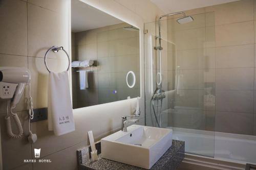 uma casa de banho com um lavatório e um chuveiro em Hayes Hotel, Addis Ababa em Addis Ababa