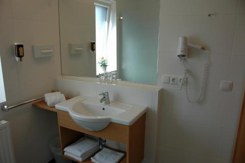 a bathroom with a sink and a shower with a mirror at Hotel Birkenhof in Bad Radkersburg