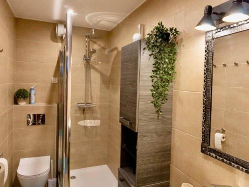 ein Bad mit einer Dusche und einem WC mit einer Pflanze in der Unterkunft Apartment in thermal and winter sports resort of Bad Gastein in Bad Gastein