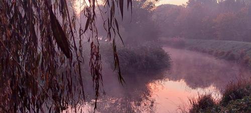 a view of a river with a reflection in the water at Hotel Panorama in Mosonmagyaróvár