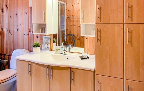 La salle de bains est pourvue d'un lavabo et de placards en bois. dans l'établissement 3 Bedroom Stunning Home In Sjusjen, à Sjusjøen