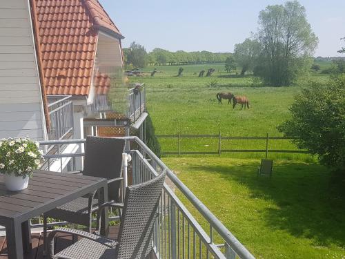 a balcony with a table and horses in a field at Ferien-Residenz am Nationalpark Wohnung 6 in Gingst