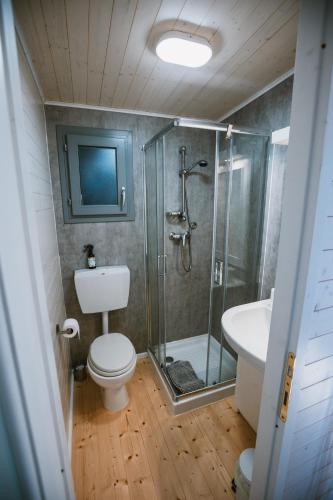 a bathroom with a shower and a toilet and a sink at Agriturismo Rose di Pietra in Pietra Ligure