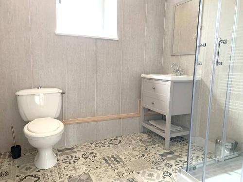 a bathroom with a toilet and a sink and a shower at Maison de 4 chambres avec vue sur le lac et jardin amenage a Joue du Bois in Joué-du-Bois