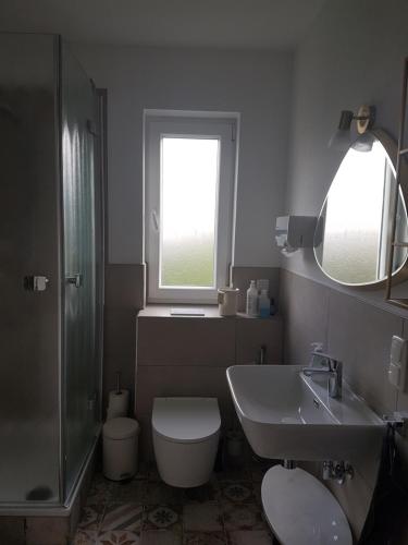 La salle de bains est pourvue de toilettes, d'un lavabo et d'un miroir. dans l'établissement Appartement am Goldsteinpark, à Bad Nauheim