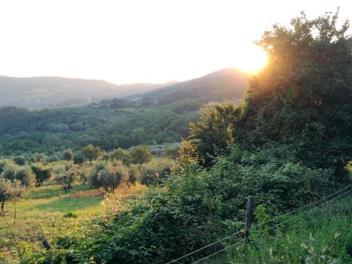 a view of a hillside with the sun shining on trees at La Casa di LiLi in Pontassieve