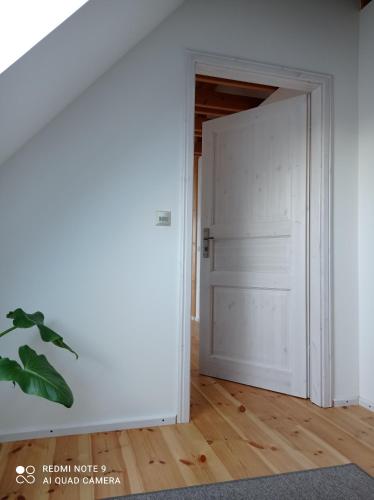 an empty room with a white door and wooden floors at Drei-Seiten-Hof Étable mit Schwimmteich und Klimanlage in Fuchshain