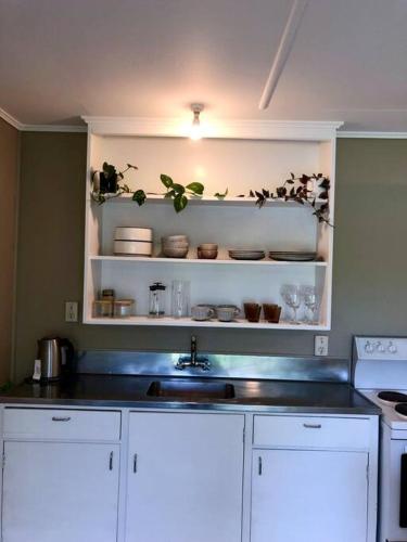 a kitchen with white cabinets and a sink and a shelf with plants at Comfy at Ed's - 20 mins to Kaiteri & Abel Tasman in Motueka