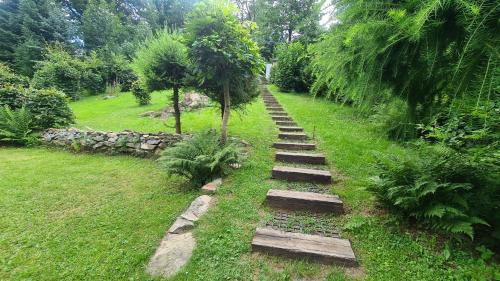 a set of stone steps in a field with trees at Chata Mezičky in Jiřetín pod Jedlovou