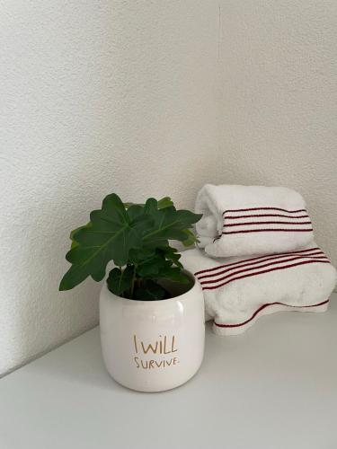 a potted plant sitting on a shelf next to towels at Hubel Apartment 14 in Wilderswil