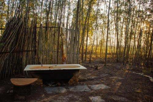 Fotografie z fotogalerie ubytování Forest Harmony v destinaci Knysna