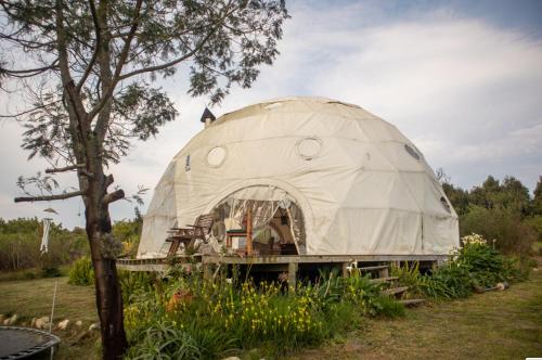 a large dome tent sitting in a field at Forest Harmony in Knysna