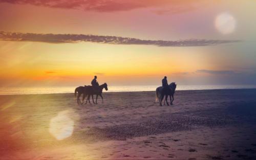 two people riding horses on the beach at sunset at BLUE WAVE LODGE in Imi Ouaddar